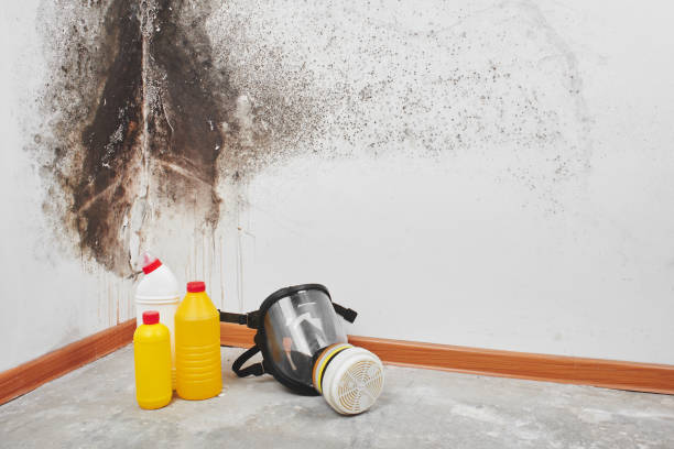 Water damage restoration experts in Ruston, LA